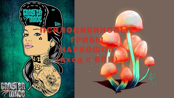 первитин Белокуриха