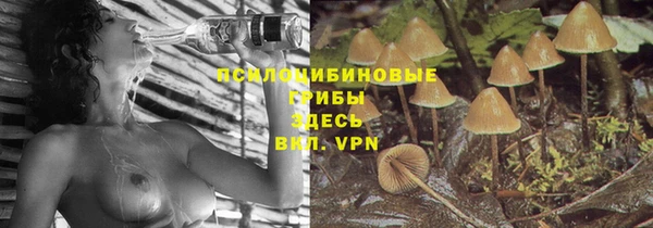 винт Беломорск