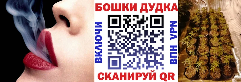 Купить где Буйнакск Бошки марихуана Ganja